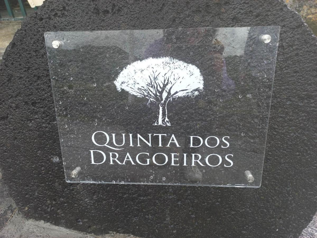 Apartmán Quinta Dos Dragoeiros - Rral Nº3452 Queimada  Exteriér fotografie